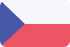 Flag icon